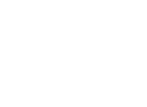 Plymouth Management Services white logo